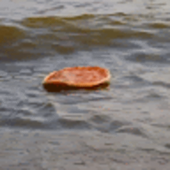 seanleech2019